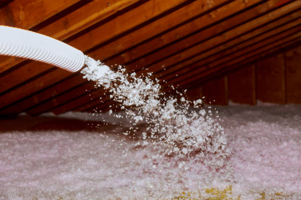 Best Energy Efficiency Insulation in Porter Heights, TX